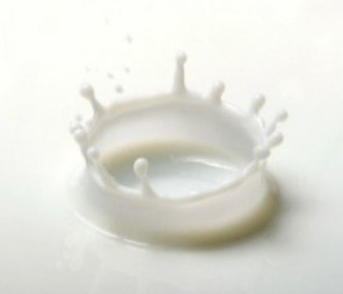 [silver 925]milk crown ring