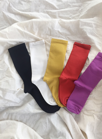 long color socks (5 colors) 