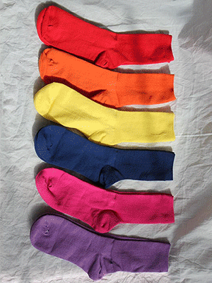 vivid socks (6 colors!!) 